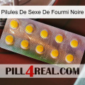 Black Ant Sex Pills new11
